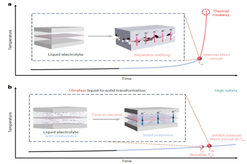 WUT professor You Ya’s Team published latest research findings in Nature Energy